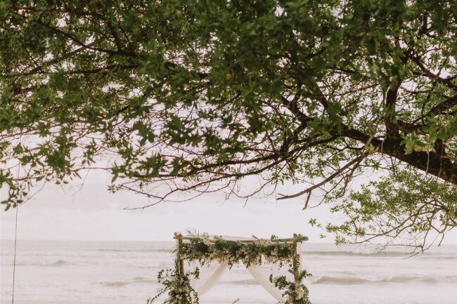 costa rica A playa wedding ceremony set up on the beach under a tree, with stunning photo opportunities.