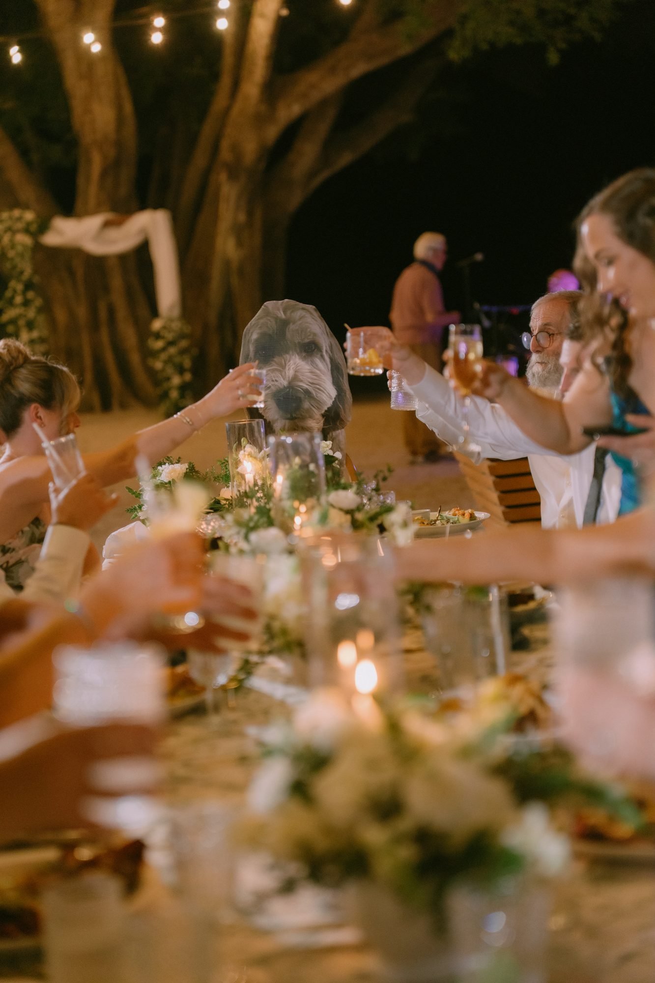 Guests sit along a long candlelit table set under trees for a small wedding dinner