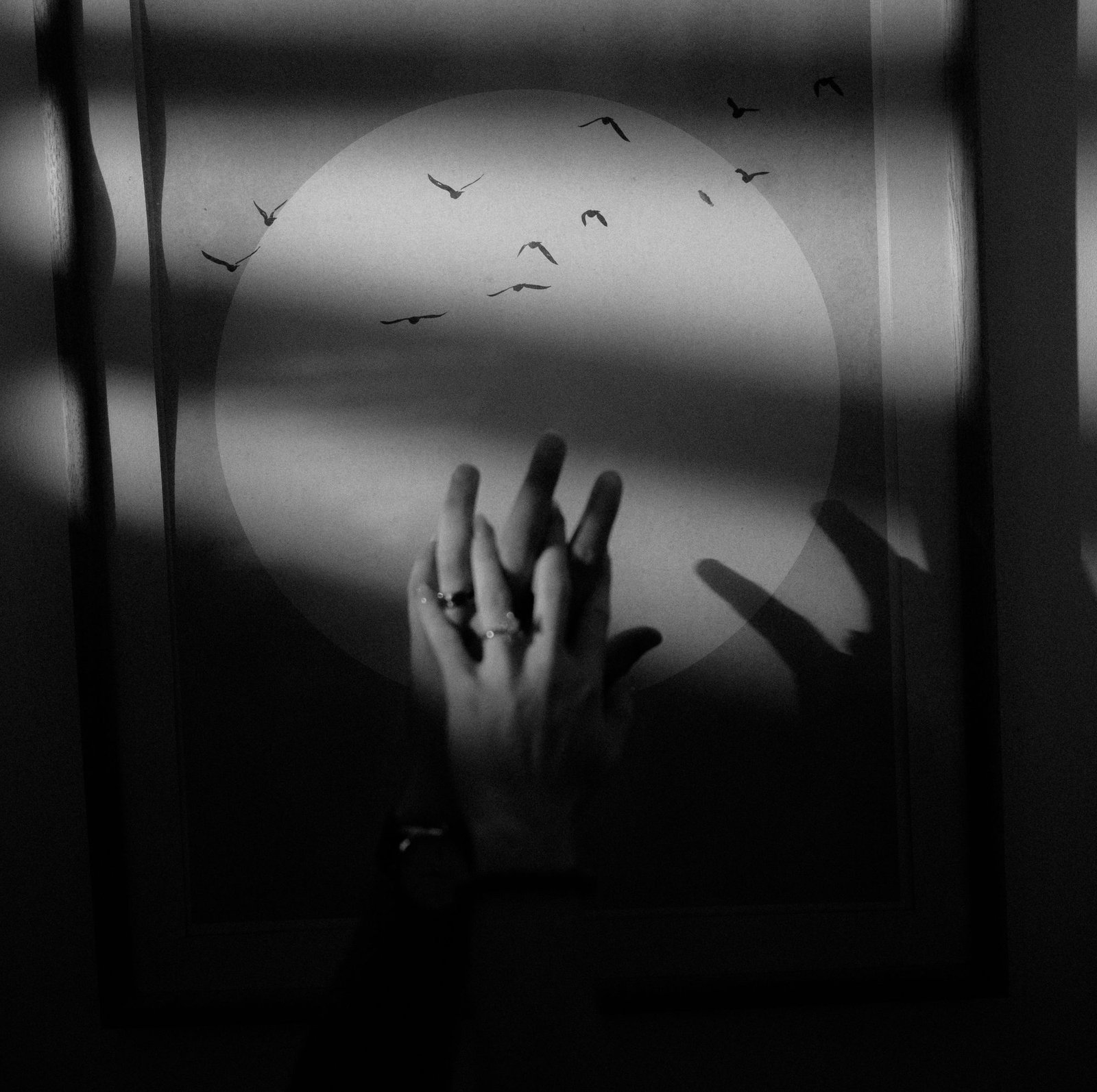 A black and white double exposure combining a pair of hands, wedding rings and birds in flight, photographed by a Costa Rica elopement photographer