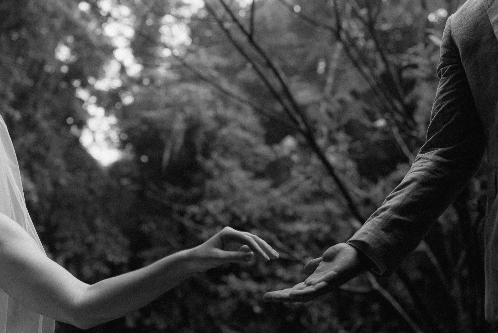 Two hands reach toward one another in black and white, jungle foliage behind them