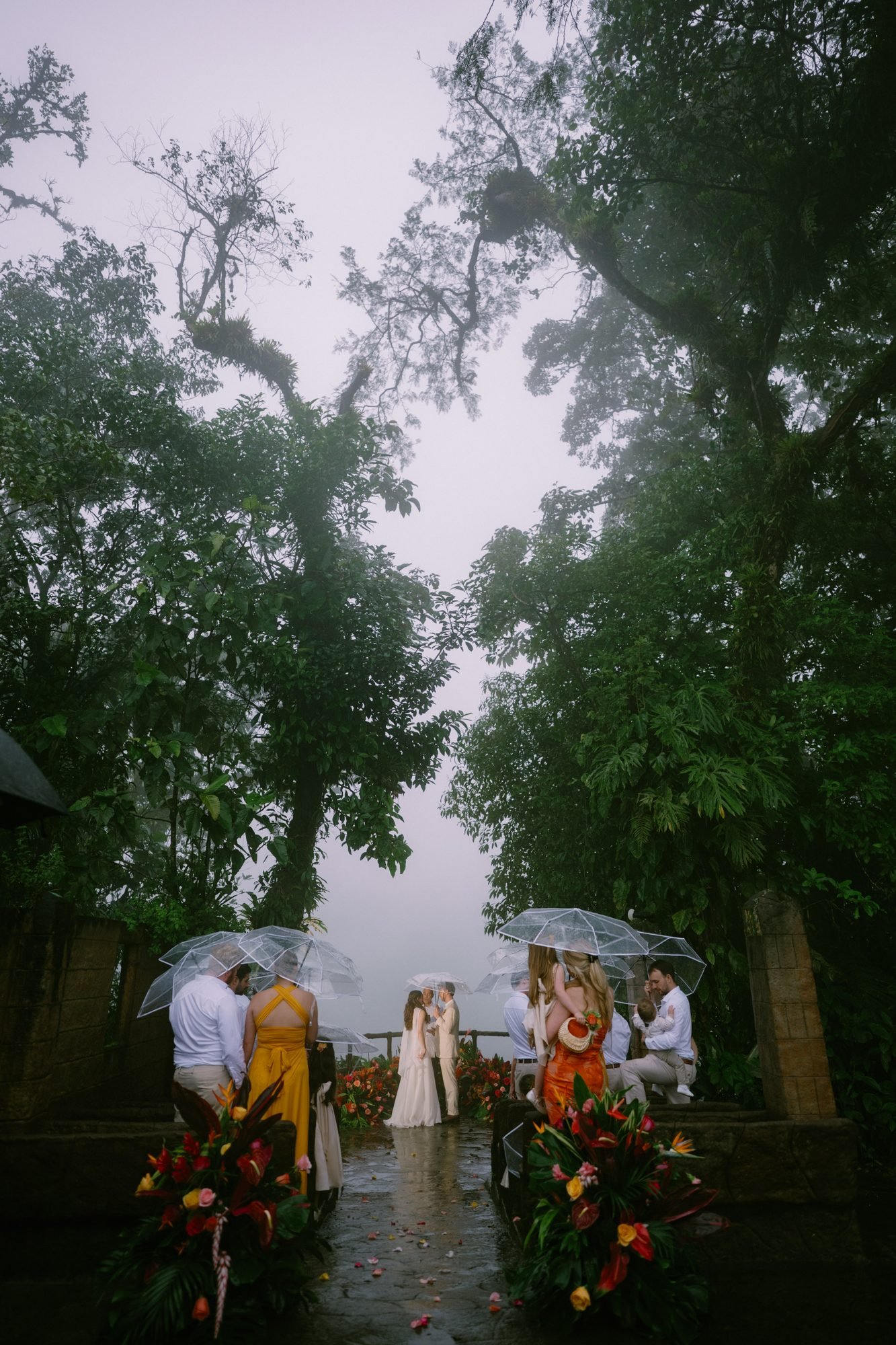 A small group gathers under umbrellas for a wedding ceremony in the rain, surrounded by rainforest